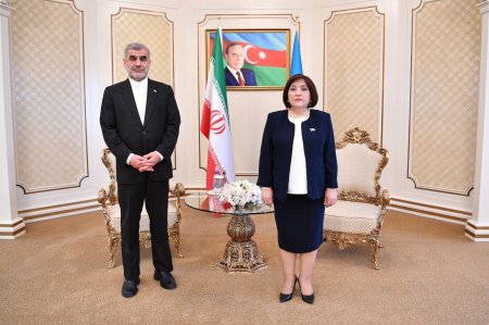 Milli Məclisin sədri Sahibə Qafarova İran Parlamenti sədrinin müavini ilə görüşüb