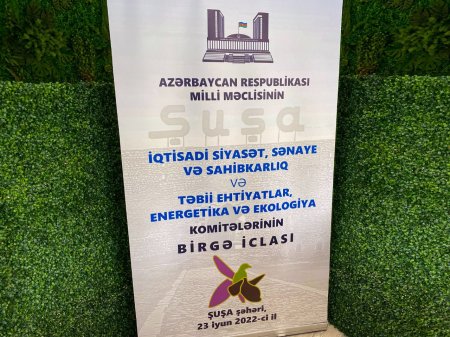 Şuşada Milli Məclisin komitələrinin növbəti birgə iclası keçirilib