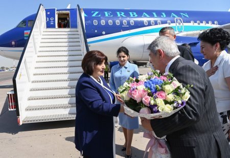 Milli Məclisin sədri Sahibə QafarovaDaşkənd şəhərində işgüzar səfərdədir 