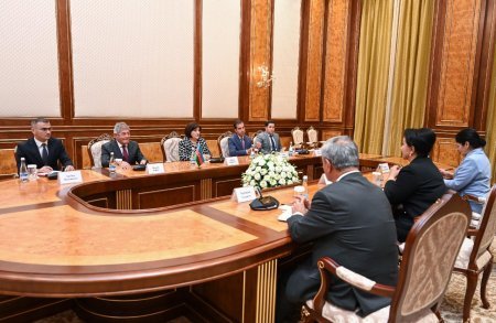 Milli Məclisin sədri Sahibə Qafarova Özbəkistan Ali Məclisi Senatının sədri ilə görüşüb