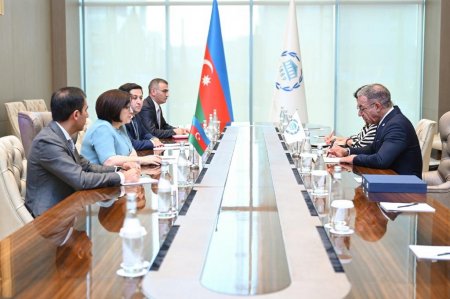 Milli Məclisin sədri Sahibə Qafarova Daşkənddə Parlamentlərarası İttifaqın prezidenti ilə görüşüb