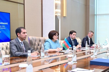 Milli Məclisin sədri Sahibə Qafarova Daşkənddə Parlamentlərarası İttifaqın prezidenti ilə görüşüb