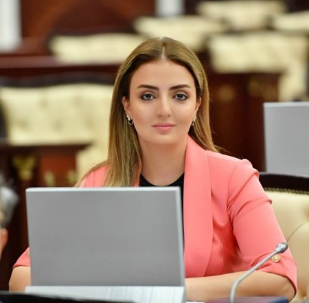 Deputat Könül Nurullayeva növbəti vətəndaş qəbulunu keçirib - FOTOLAR