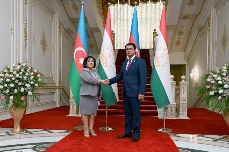 Milli Məclisin sədri Sahibə Qafarova  Tacikistan Ali Məclisi Milli Məclisinin sədri ilə görüşüb