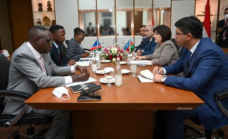 Milli Məclisin sədri Sahibə Qafarova Cakartada Namibiya Milli Şurasının sədri ilə görüşüb