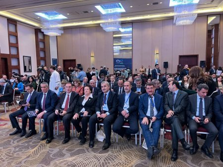 Ombudsmanların və Milli İnsan Hüquqları Təsisatlarının Bakı Beynəlxalq Konfransı keçirilir (FOTO)