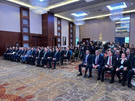 Ombudsmanların və Milli İnsan Hüquqları Təsisatlarının Bakı Beynəlxalq Konfransı keçirilir (FOTO)