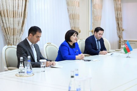 Milli Məclisin sədri Sahibə Qafarova Türkmənistanın ölkəmizdəki səfiri ilə görüşüb