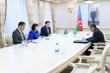 Milli Məclisin sədri Sahibə Qafarova Türkmənistanın ölkəmizdəki səfiri ilə görüşüb