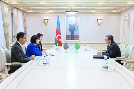 Milli Məclisin sədri Sahibə Qafarova Türkmənistanın ölkəmizdəki səfiri ilə görüşüb