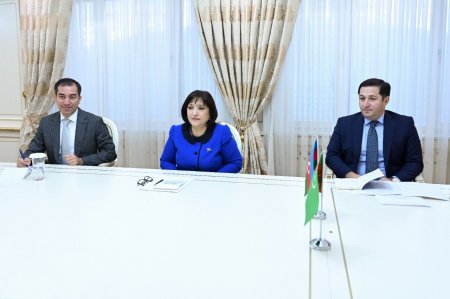 Milli Məclisin sədri Sahibə Qafarova Türkmənistanın ölkəmizdəki səfiri ilə görüşüb