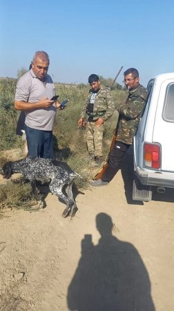 Qanunsuz balıq ovlayan 21 nəfər saxlanıldı