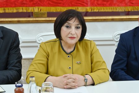 Milli Məclisin sədri Sahibə Qafarova Monteneqro Parlamentinin sədri Andrija Mandiç ilə görüşüb