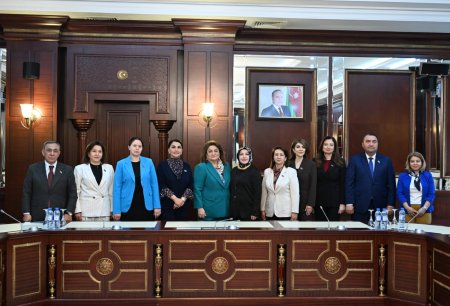 Parlamentin Ailə, qadın və uşaq məsələləri komitəsində görüş