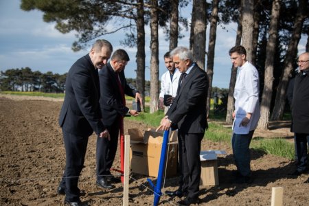 Latviya nümayəndə heyəti Tərəvəzçilik Elmi-Tədqiqat İnstitutunun fəaliyyəti ilə tanış olub