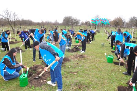 Gədəbəyin Şahdağ kəndində 6500-dən çox ağac əkilib