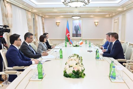 Milli Məclisin sədri Sahibə Qafarova İrlandiya-Azərbaycan parlamentlərarası dostluq qrupunun üzvləri ilə görüşüb