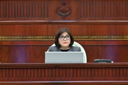 Milli Məclisin iclasında