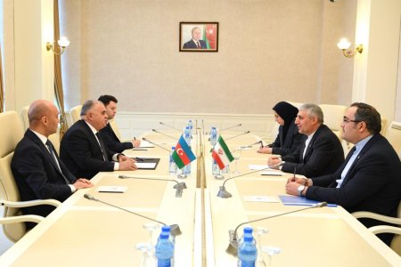 Müdafiə, təhlükəsizlik və korrupsiya ilə mübarizə komitəsində görüş