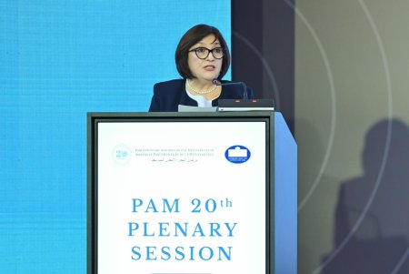 Milli Məclisin sədri Sahibə Qafarova Aralıq Dənizi Parlament Assambleyasına üzv və tərəfdaş ölkələrin parlament sədrlərinin 1-ci Sammitində çıxış edib