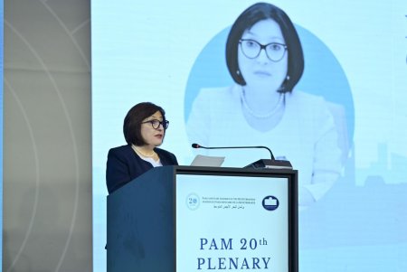 Sahibə Qafarova: “Parlament diplomatiyası fikir ayrılıqlarının olduğu hallarda belə, konstruktiv əməkdaşlıq üçün platforma təqdim etməlidir”