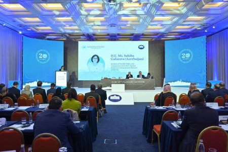 Sahibə Qafarova: “Azərbaycan parlamentlərarası əməkdaşlığı ortaq çağırışların həlli üçün mühüm vasitə hesab edir”