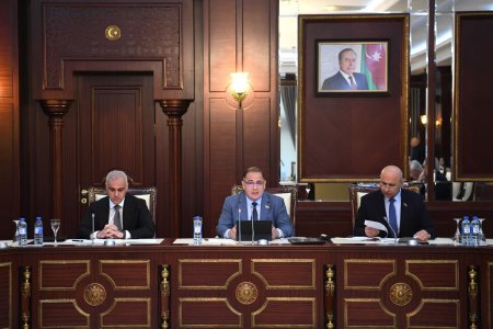 İqtisadi siyasət, sənaye və sahibkarlıq komitəsinin iclasında
