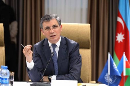 Zahid Oruc:” Əgər yerli nümayəndənin statusu koordinasiyanı təmin etmək üçün kifayət etmirsə”…