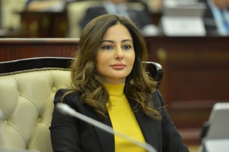 Rəqəmsal mühitdə uşaqların müdafiəsi artıq hüquqi zərurətdir - Əminə Ağazadə
