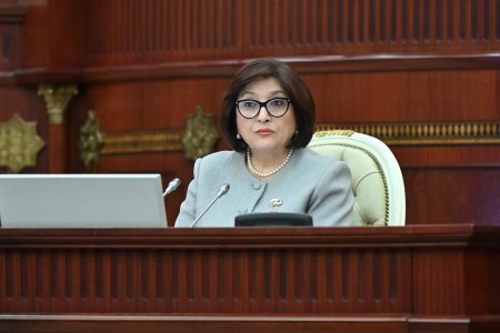 Milli Məclisin iclasında