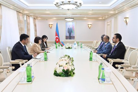 Milli Məclisin sədri Sahibə Qafarova Qlobal Tolerantlıq və Sülh Şurasının sədri ilə görüşüb
