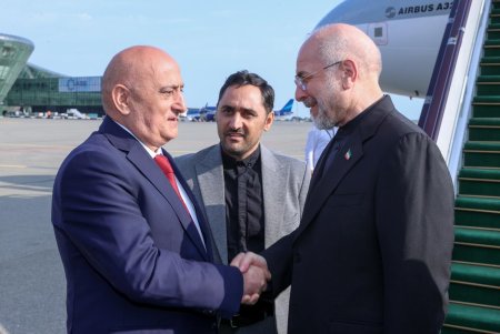İran İslam Şurası Məclisinin sədri ölkəmizə səfərə gəlib