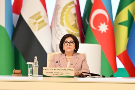 Milli Məclisin sədri Sahibə Qafarova İƏTPİ Konfransının 20-ci sessiyasının açılış mərasimində çıxış edib