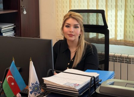 Qarşılıqlı fəaliyyətin prioritetləri
