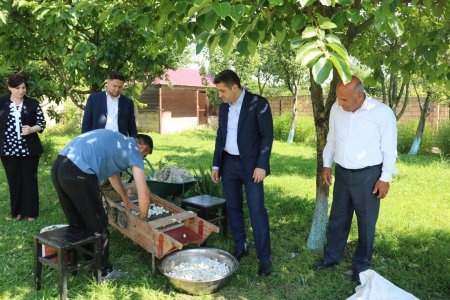 Baramaçılıq mövsümi gəlir mənbəyidir