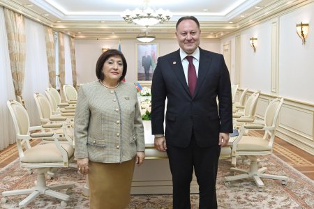 Milli Məclisin sədri Sahibə Qafarova Şimali Kipr Türk Cümhuriyyəti Məclisinin sədri ilə görüşüb