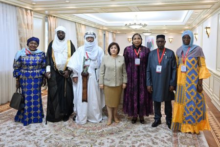 Milli Məclisin sədri Sahibə Qafarova Afrika Qrupu parlament sədrlərinin müavinləri ilə görüşüb
