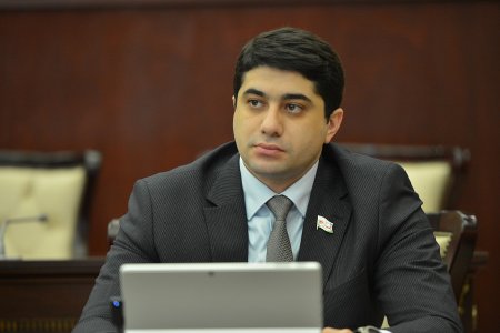 Deputat: "Kənd təsərrüfatının inkişafı ərzaq təhlükəsizliyimizin möhkəmlənməsinə xidmət edir"