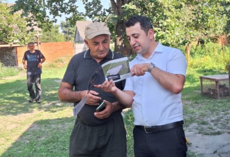 Amerika ağ kəpənəyinə qarşı monitorinqlər davam edir