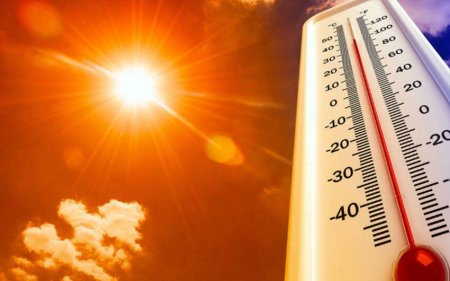 Bazar günü temperatur 41 dərəcəyədək yüksələcək - Xəbərdarlıq