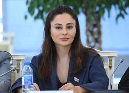 Yeni regional əməkdaşlıq modeli qurulmaqdadır