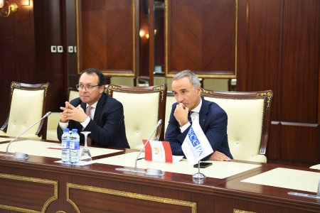 Milli Məclisdə ATƏT PA prezidenti ilə görüş