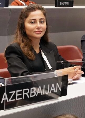 Türk dünyasında təhlükəsizlik əməkdaşlığının yeni mərhələsi