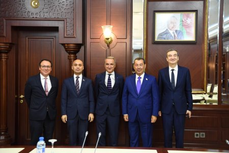 Milli Məclisin komitə sədri Səməd Seyidov ATƏT PA-nın prezidenti ilə görüşüb