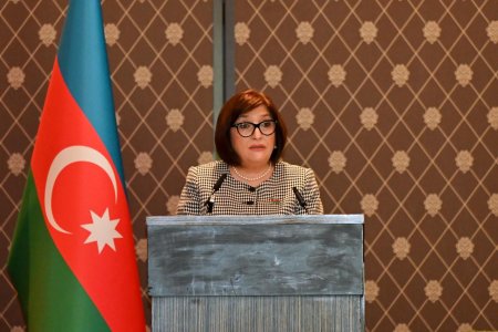 Milli Məclisin sədri Sahibə Qafarova Cenevrədə yerləşən diplomatik korpus rəhbərləri və nümayəndələri ilə görüşdə çıxış edib