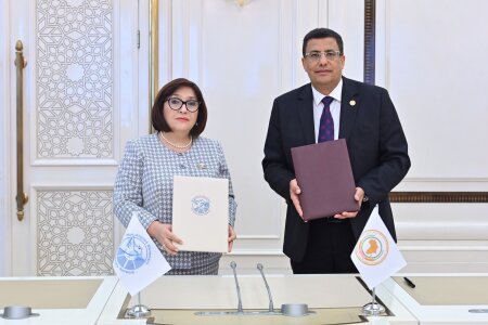 Milli Məclisin sədri Sahibə Qafarova Pan- Afrika Parlamentinin Prezidenti ilə görüşüb