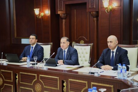 İqtisadi siyasət, sənaye və sahibkarlıq komitəsinin iclasında