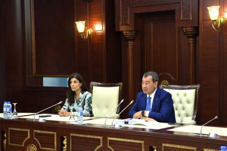 Beynəlxalq münasibətlər və parlamentlərarası əlaqələr komitəsinin iclasında