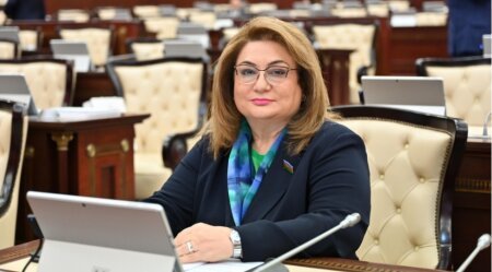 Müstəqil Azərbaycan dövlətçiliyinin xilasetmə və inkişaf yolu: 1993-cü ildən bu günə
