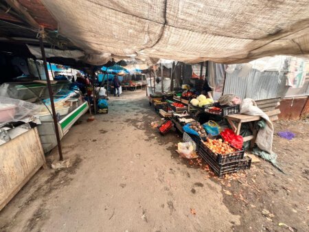Şəmkirdə bazarda nöqsanlar aşkarlanıb